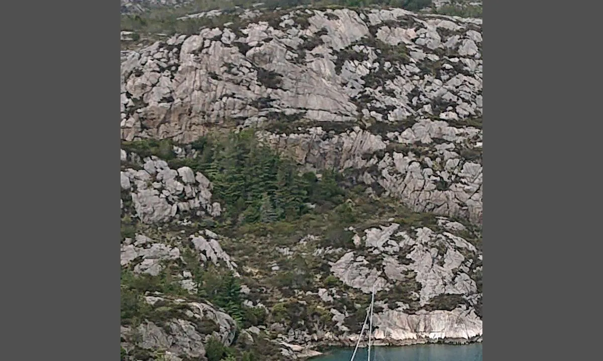 Goddevågen