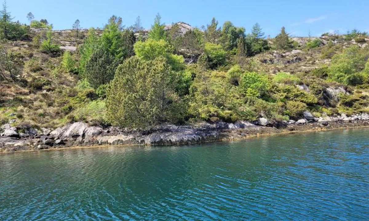 Goddevågen: {"base": "no", "no": "Alternativ fort\u00f8yningsplass", "se": "Alternativ f\u00f6rt\u00f6jningsplats", "en": "Alternative mooring spot", "da": "Alternativ fort\u00f8jningsplads"}