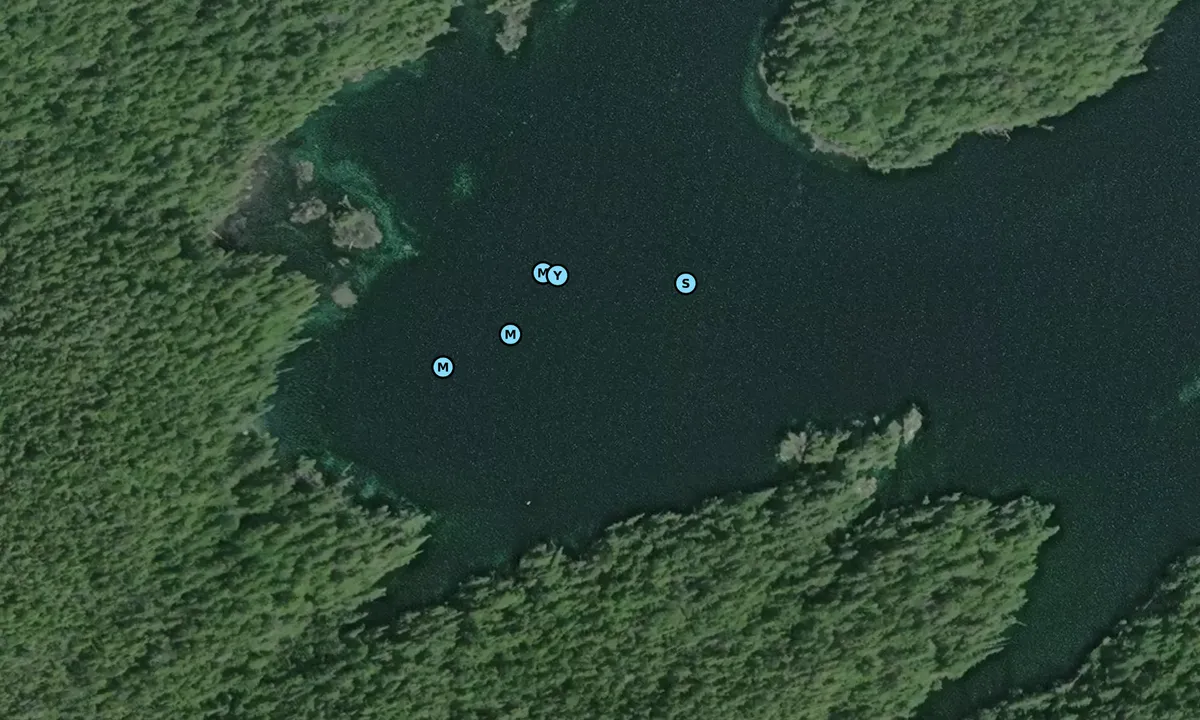 Satelite image of Goldstream Harbour