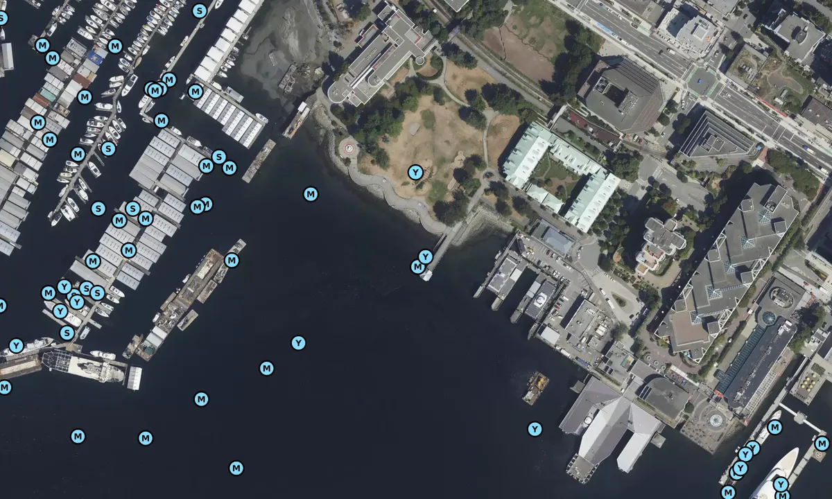 Satelite image of Goldsworthy Pier