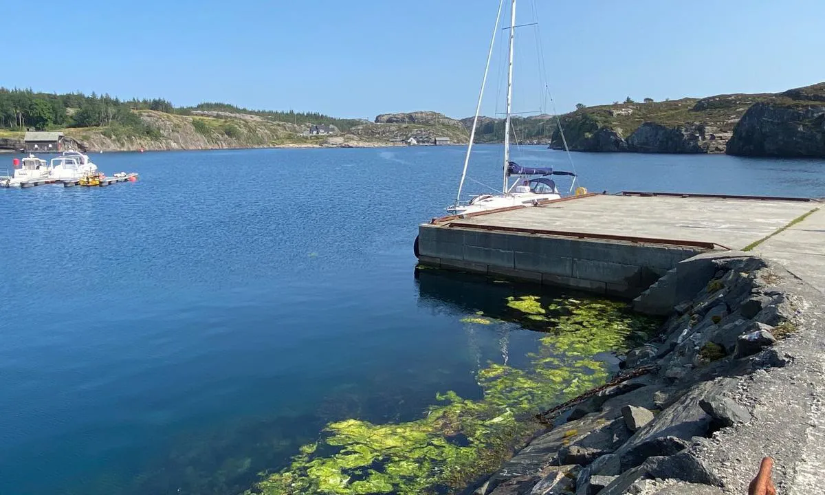 {"base": "no", "no": "Kaia ved Golta.", "se": "Bryggan vid Golta.", "en": "The quay at Golta.", "da": "Kajen ved Golta."}
