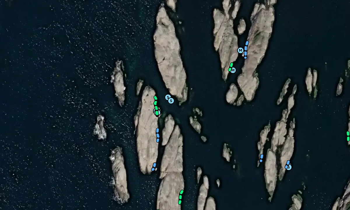 Satelite image of Goneskjæra