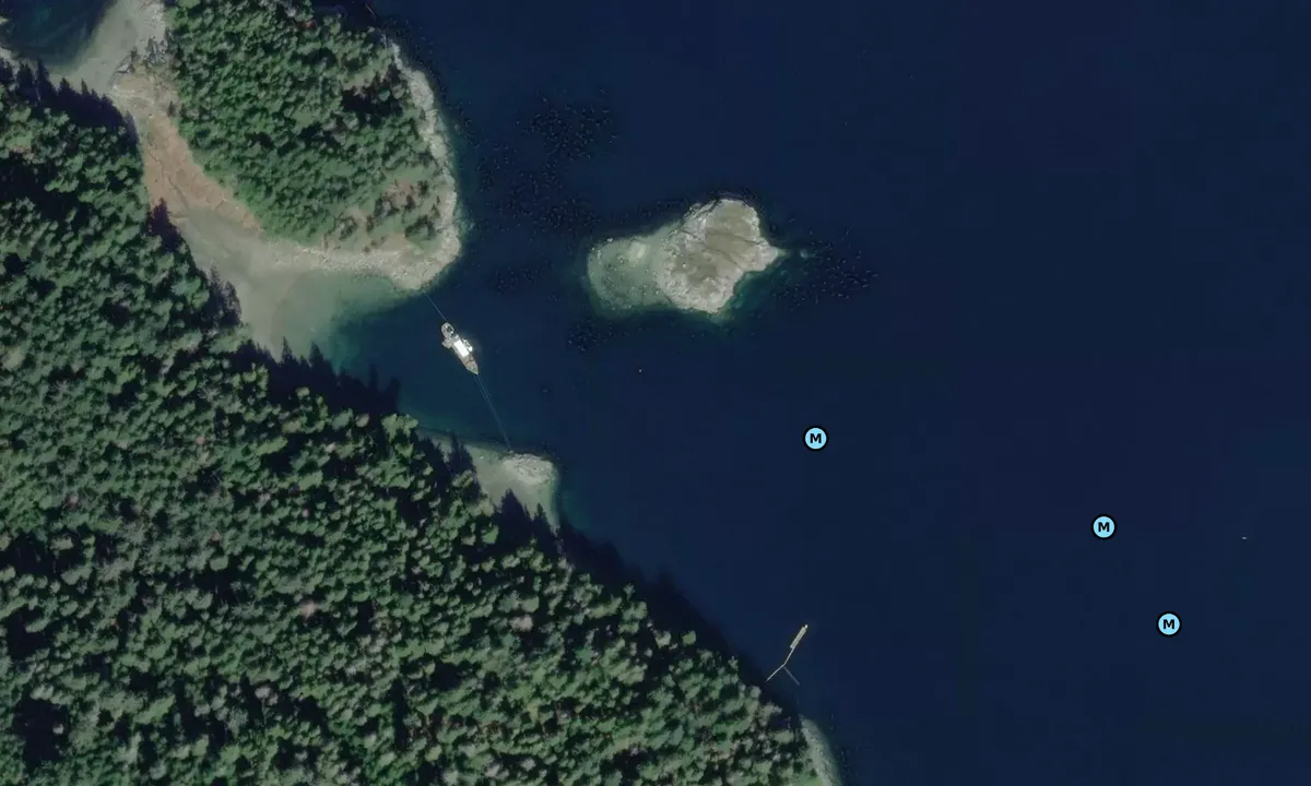 Satelite image of Good during Westerlies