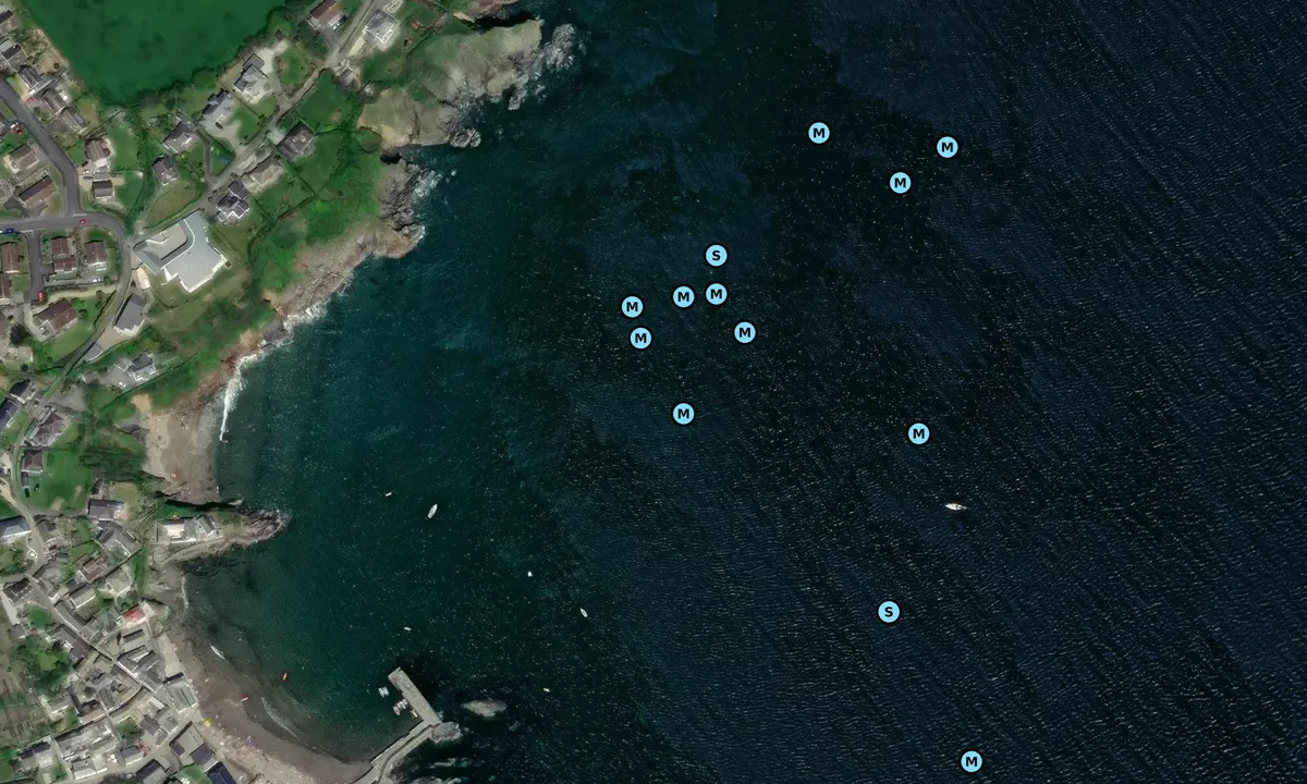 Satelite image of Gorran Haven