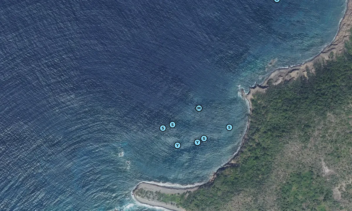 Satelite image of Grand Ilet