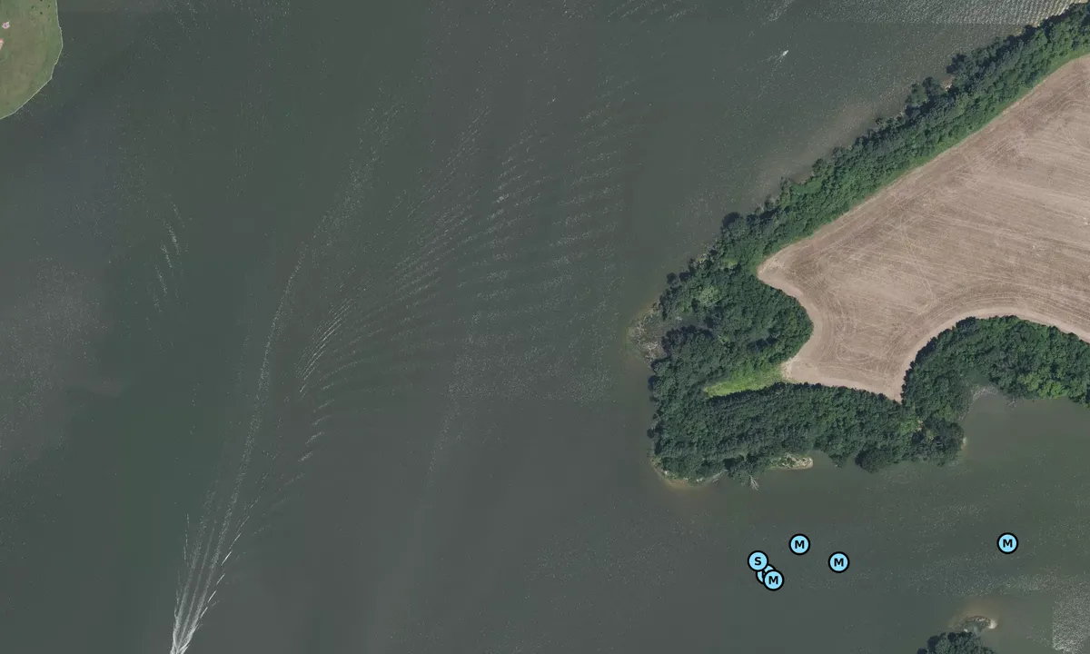 Satelite image of Grapevine Cove