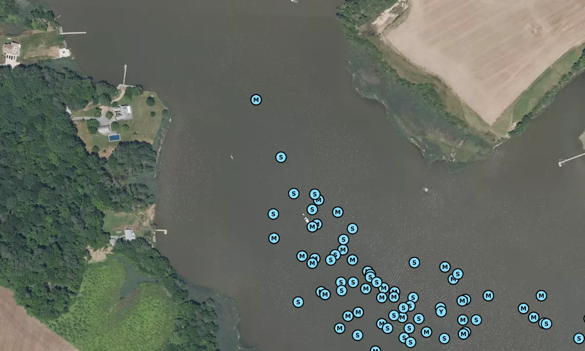 Satelite image of Grays Inn Creek