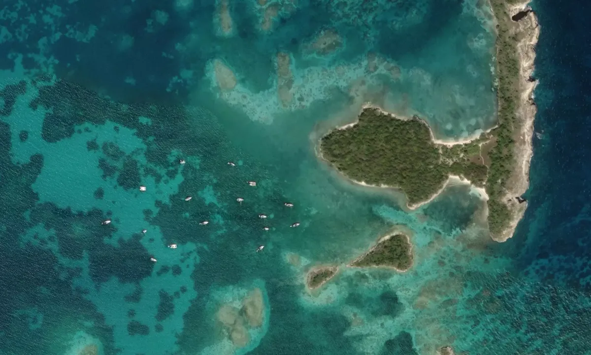 Flyfoto av Great Bird Island