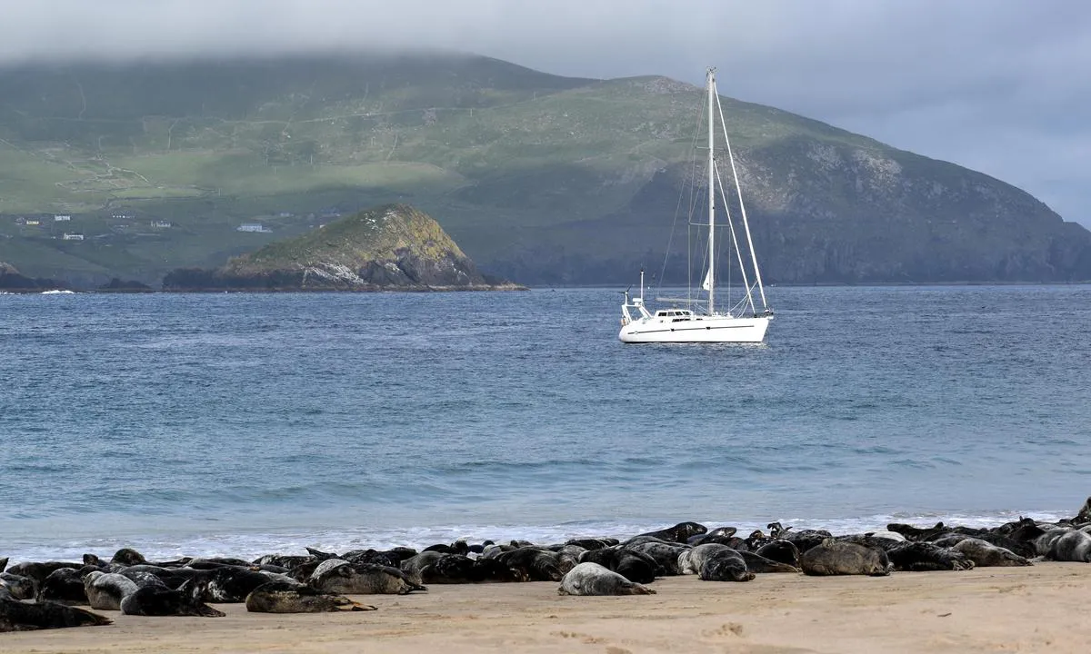 Great Blasket