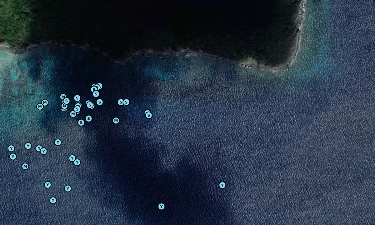 Satelite image of Great Dog - curiosités sous marines