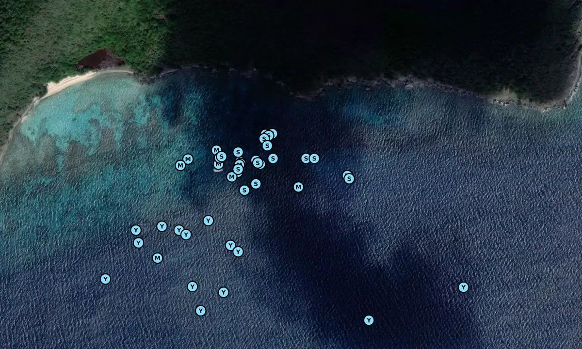 Satelite image of Great Dog  - mouillage de jour