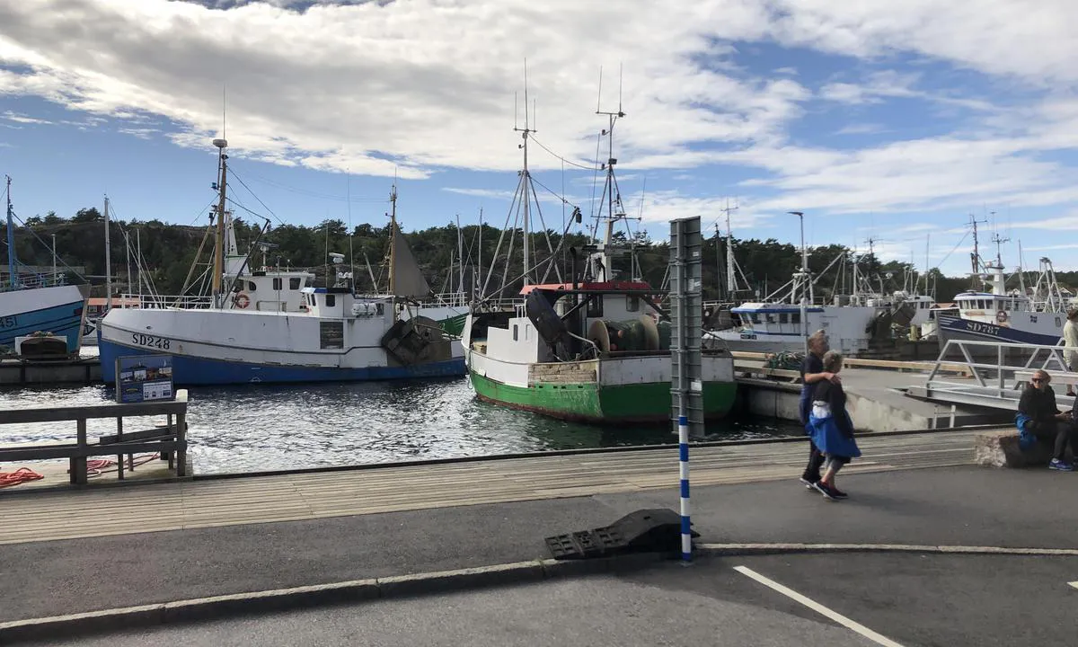 In the outer port of Grebbestad, there are active fishing boats