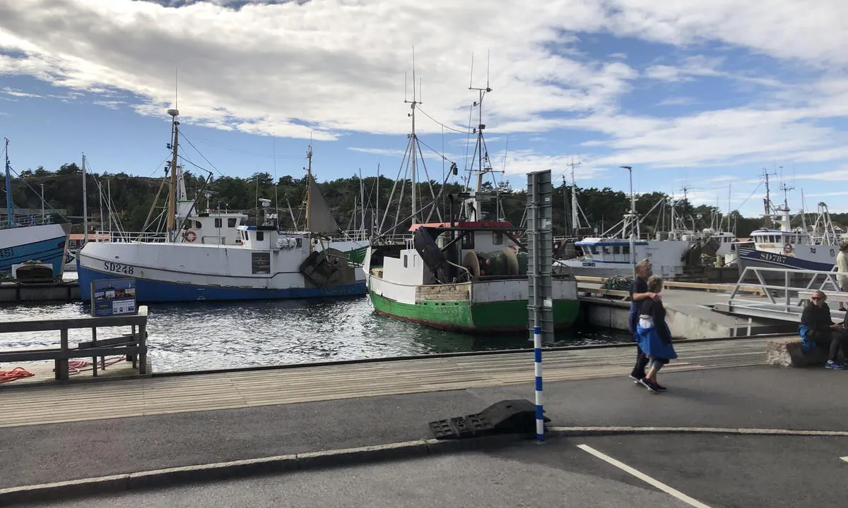 {"base": "en", "no": "I den ytre havnen i Grebbestad, er det aktive fiskeb\u00e5ter", "se": "I yttre hamnen i Grebbestad finns det aktiva fiskeb\u00e5tar", "en": "In the outer port of Grebbestad, there are active fishing boats", "da": "I den ydre havn af Grebbestad er der aktive fiskerb\u00e5de"}