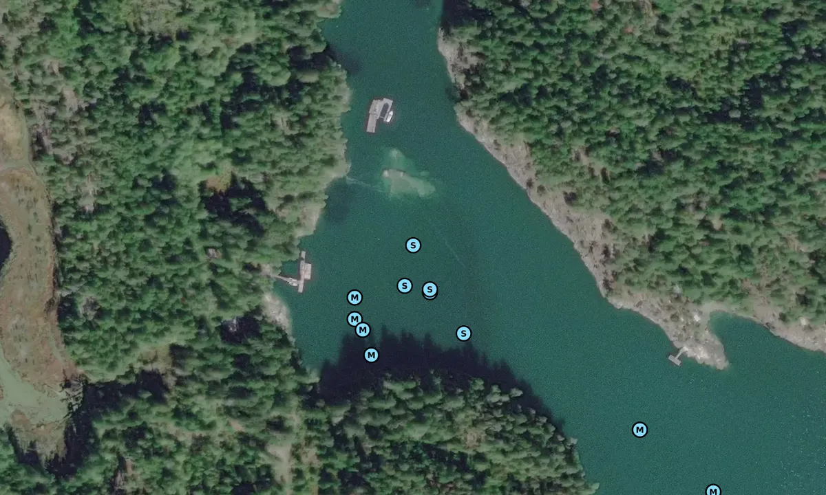 Satelite image of Green Bay - Earls Cove