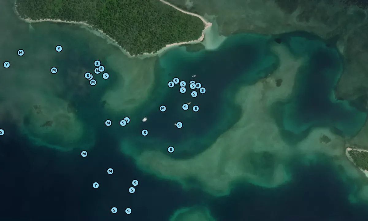 Satelite image of Green Island 1