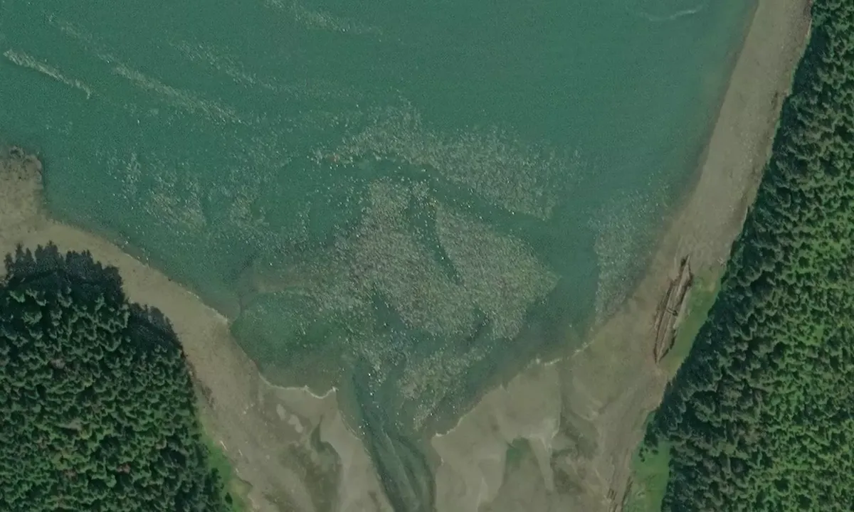 Satelite image of Greens Cove