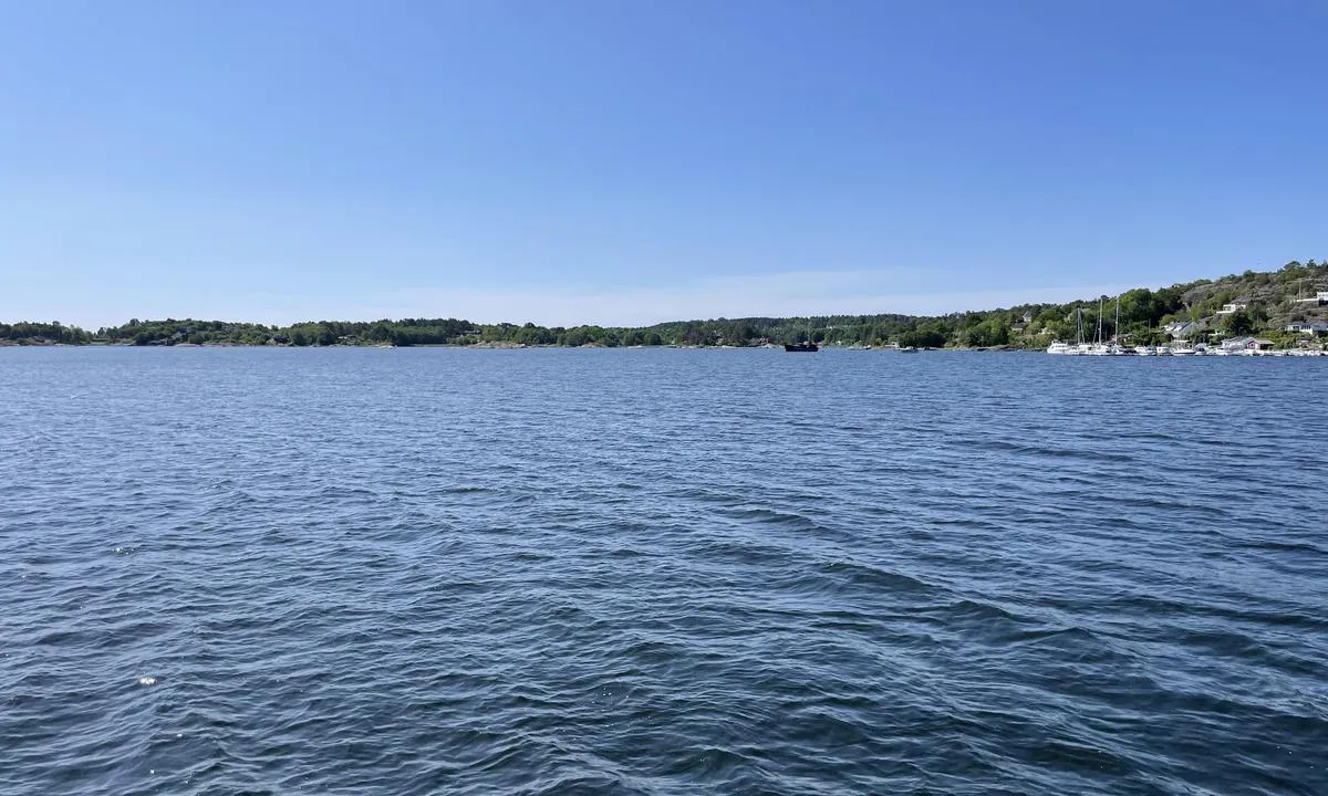 Grimestad Naturhavn: {"base": "no", "no": "Bilde tatt mot s\u00f8r.", "se": "Bild tagen mot s\u00f6der.", "en": "Picture taken facing south.", "da": "Billede taget mod syd."}