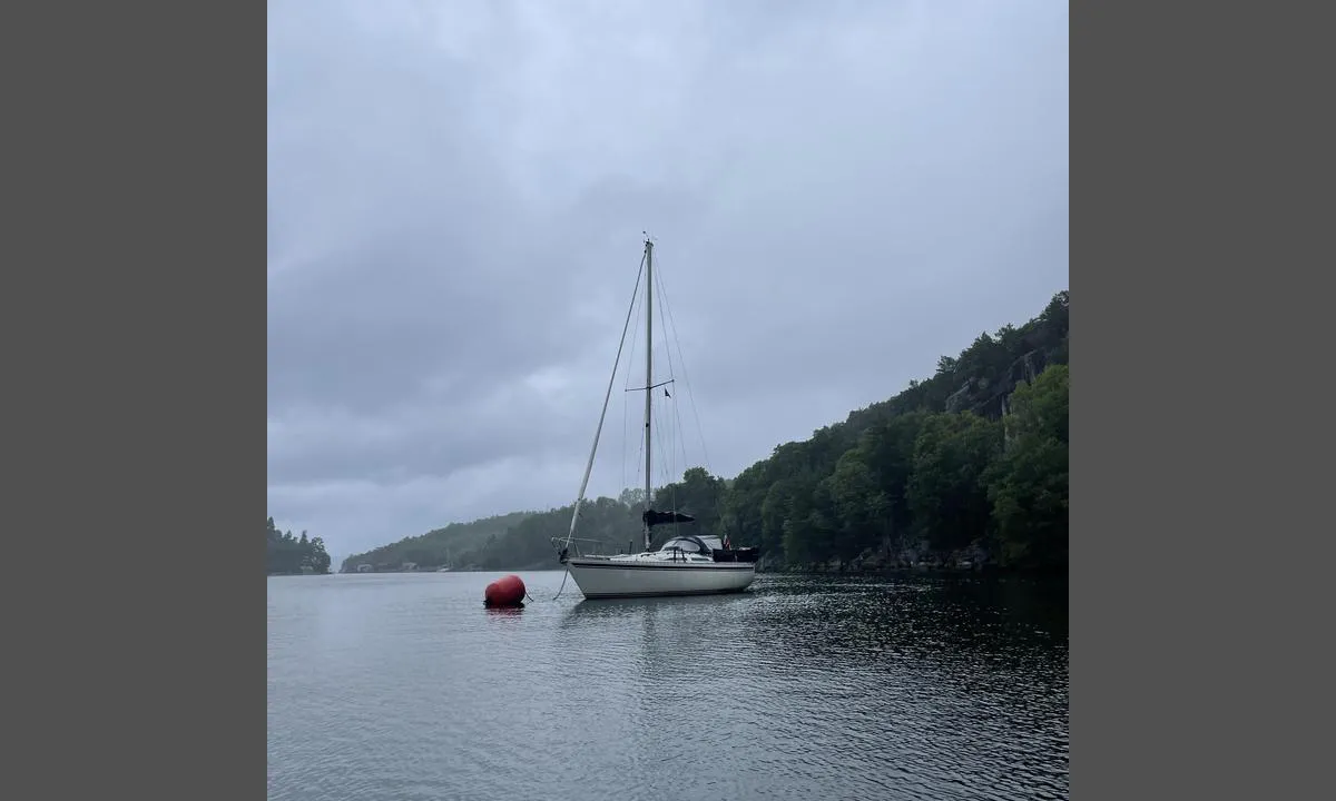 To bøyer en kan gjøre fast til i Gripnesvågen. Også fint å ankre.