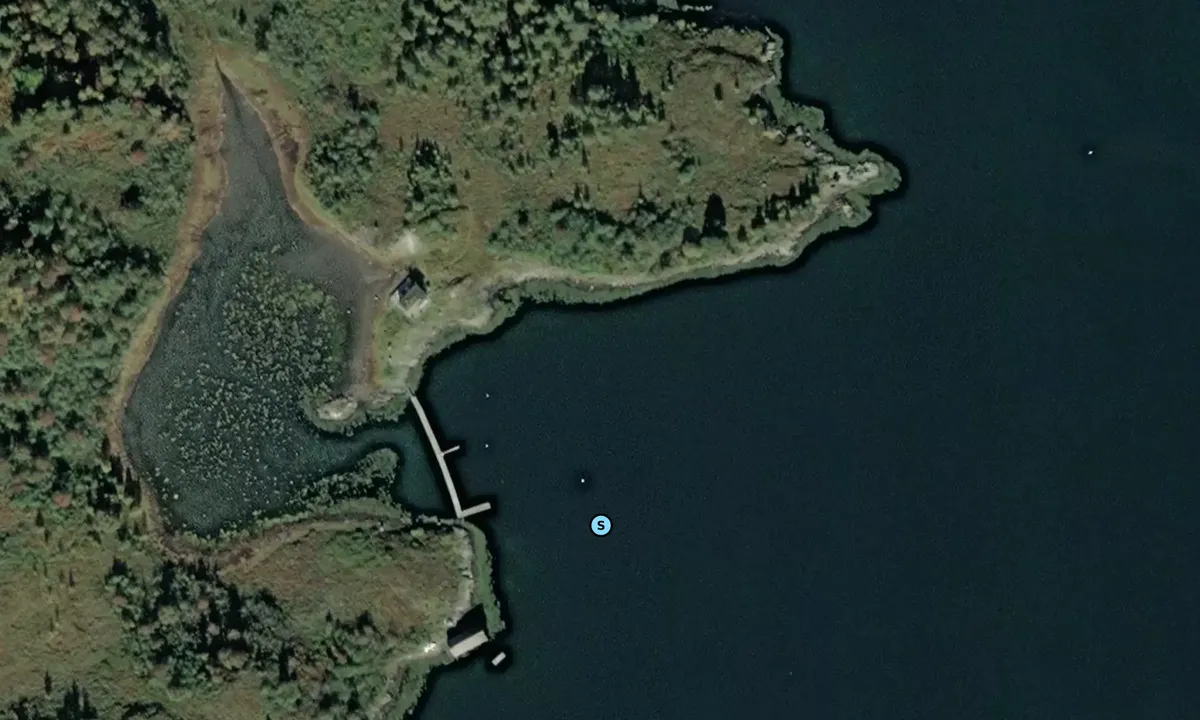 Satelite image of Grisvågen
