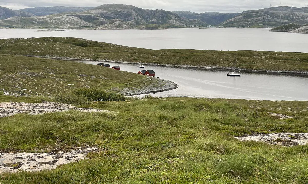 Grisvågen - Indre Skjervøya: {"base": "no", "no": "Fredelig og god havn. Fint \u00e5 ta jolla i land, g\u00e5 p\u00e5 fottur og se utover mot havgapet. P\u00e5 toppen er det en dobbel benk til \u00e5 nyte solnedgangen.", "se": "Fridfull och bra hamn. Bra att ta jollen i land, vandra och se ut mot havshorisonten. P\u00e5 toppen finns det en dubbel b\u00e4nk f\u00f6r att njuta av solnedg\u00e5ngen.", "en": "Peaceful and good harbor. Nice to take the dinghy ashore, go for a hike, and look out towards the open sea. At the top, there is a double bench to enjoy the sunset.", "da": "Fredelig og god havn. Det er godt at tage jollen i land, g\u00e5 en vandretur og se ud over havet. P\u00e5 toppen er der en dobbel b\u00e6nk til at nyde solnedgangen."}