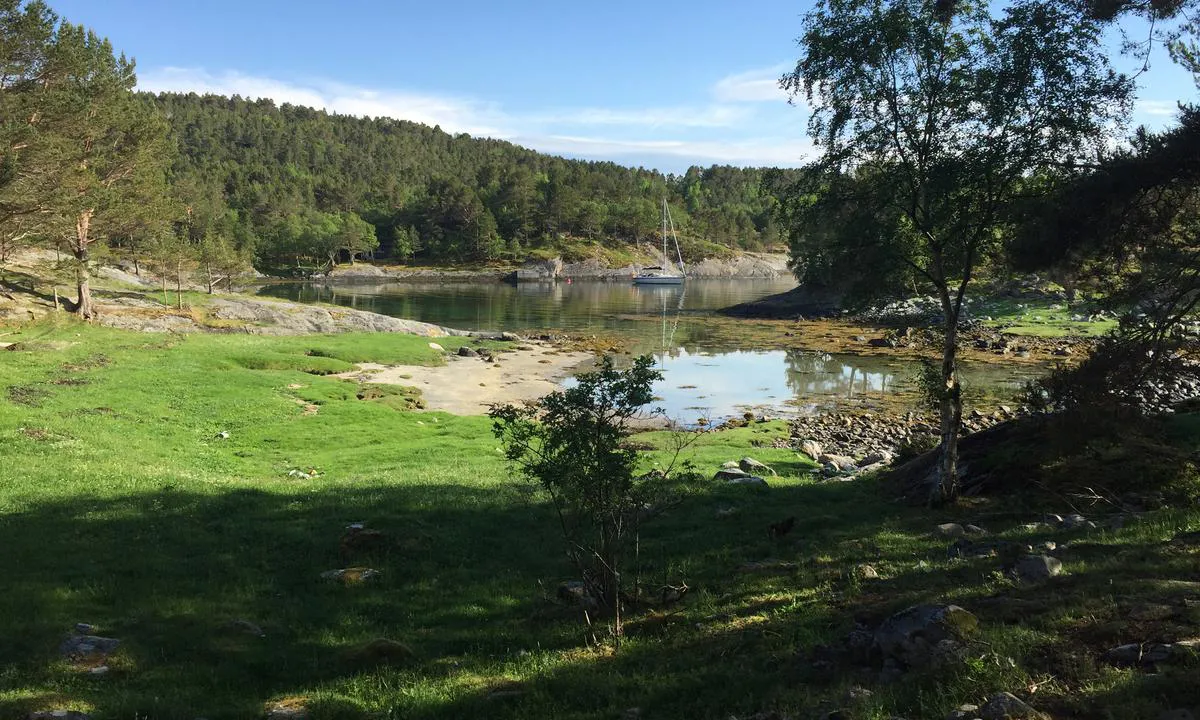 Hvalenbukta: {"base": "no", "no": "Mange stier \u00e5 g\u00e5 rundt p\u00e5.\r\nDet finnes ogs\u00e5 gamle bunkerser her p\u00e5 \u00f8ya.\r\nOm sommeren beiter det sauer her ogs\u00e5.", "se": "M\u00e5nga stigar att g\u00e5 runt p\u00e5. <br>Det finns ocks\u00e5 gamla bunkrar h\u00e4r p\u00e5 \u00f6n. <br>P\u00e5 sommaren betar det \u00e4ven f\u00e5r h\u00e4r.", "en": "Many paths to walk around on. There are also old bunkers here on the island. In the summer, sheep graze here as well.", "da": "Mange stier at g\u00e5 rundt p\u00e5. Der findes ogs\u00e5 gamle bunkerser her p\u00e5 \u00f8en. Om sommeren gr\u00e6sser f\u00e5r her ogs\u00e5."}