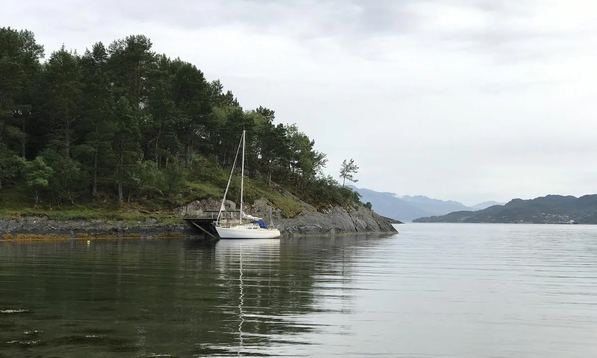 Hvalenbukta: {"base": "no", "no": "Brygge der man kan g\u00e5 i land til utedo. .", "se": "Brygga d\u00e4r man kan g\u00e5 iland till utedass.", "en": "Pier where one can land to access an outhouse.", "da": "Bro hvor man kan g\u00e5 i land til et das."}