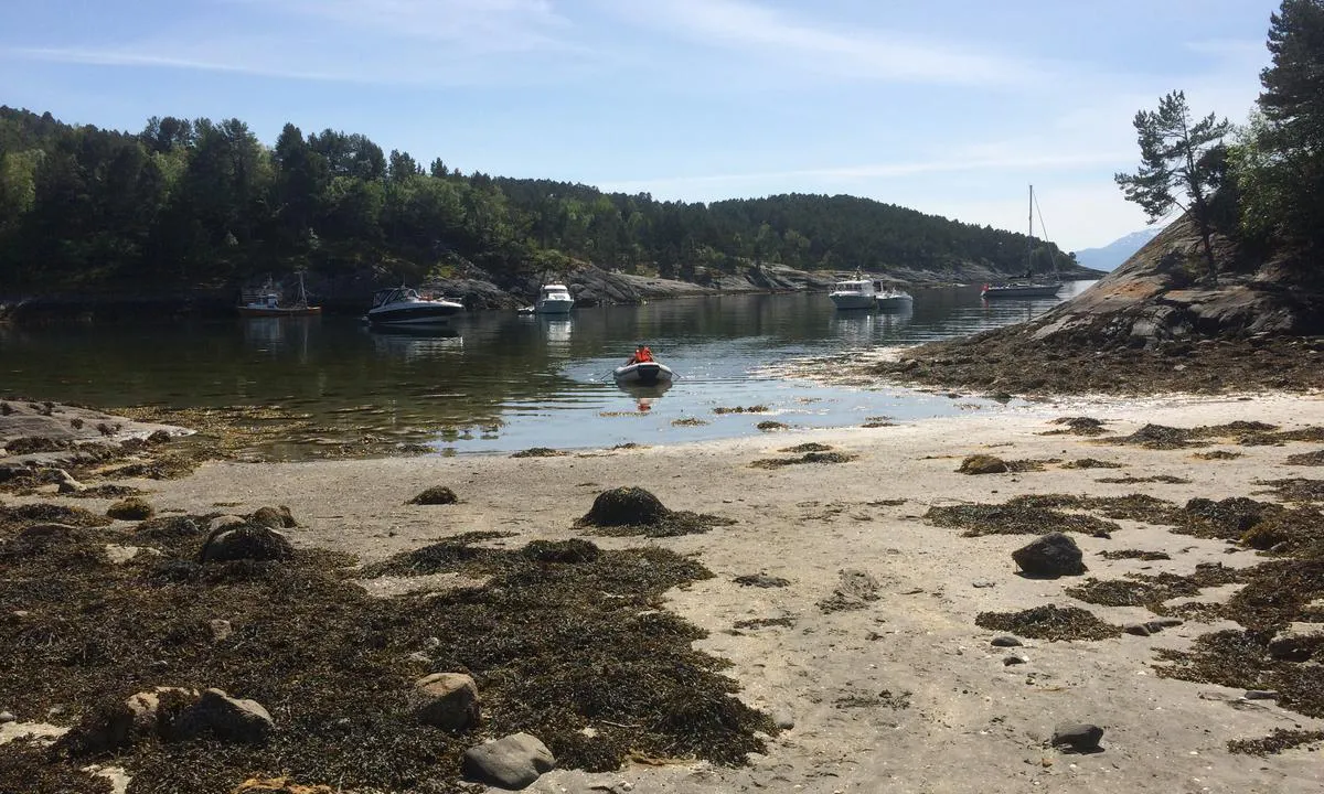 Hvalenbukta: {"base": "da", "no": "Et yndet sted for barnefamilier.", "se": "En omtyckt plats f\u00f6r barnfamiljer.", "en": "A favored spot for families with children.", "da": "Et yndet sted for barnefamilier."}
