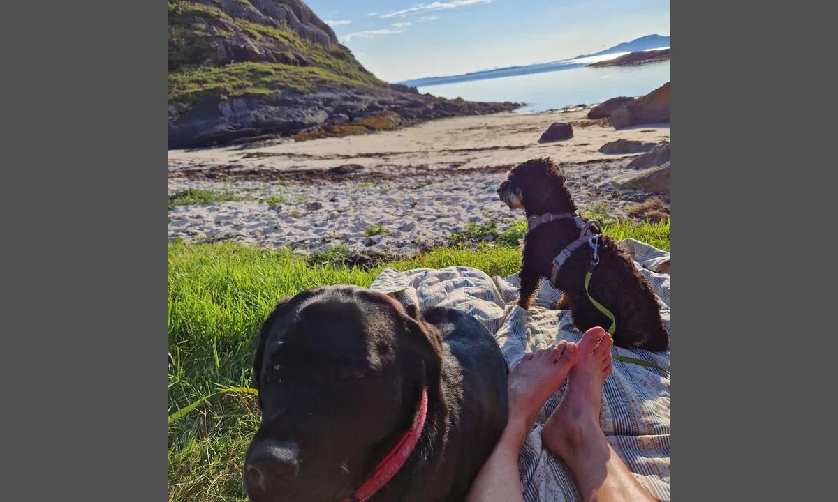 Grønnvikvågen: {"base": "no", "no": "Sandstrand mot vest", "se": "Sandstrand mot v\u00e4st", "en": "Sandy beach to the west", "da": "Sandstrand mod vest"}