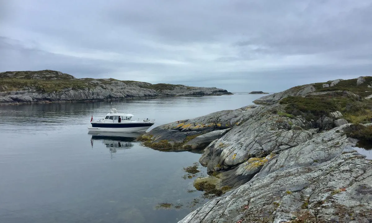 Grønøy Byrknesøy: Utsikt vestover mot havet