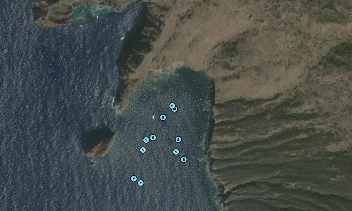 Satelite image of Grotta del Cavallo