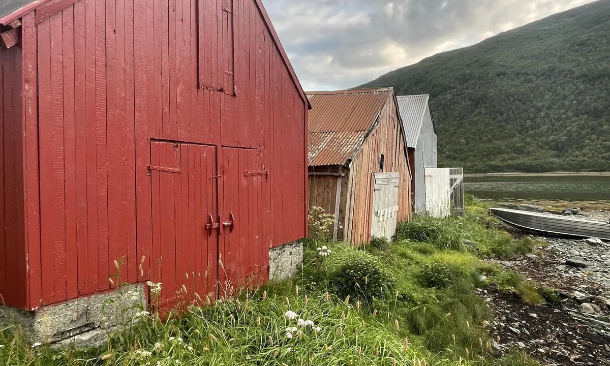 Grunnfjord