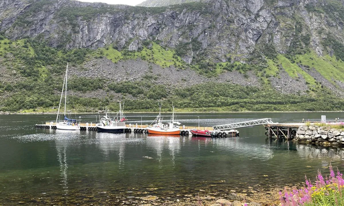 Gryllefjorden: {"base": "no", "no": "Ny flytebrygge med str\u00f8m.", "se": "Ny flytbrygga med str\u00f6m.", "en": "New floating dock with power.", "da": "Ny flydebro med str\u00f8m."}
