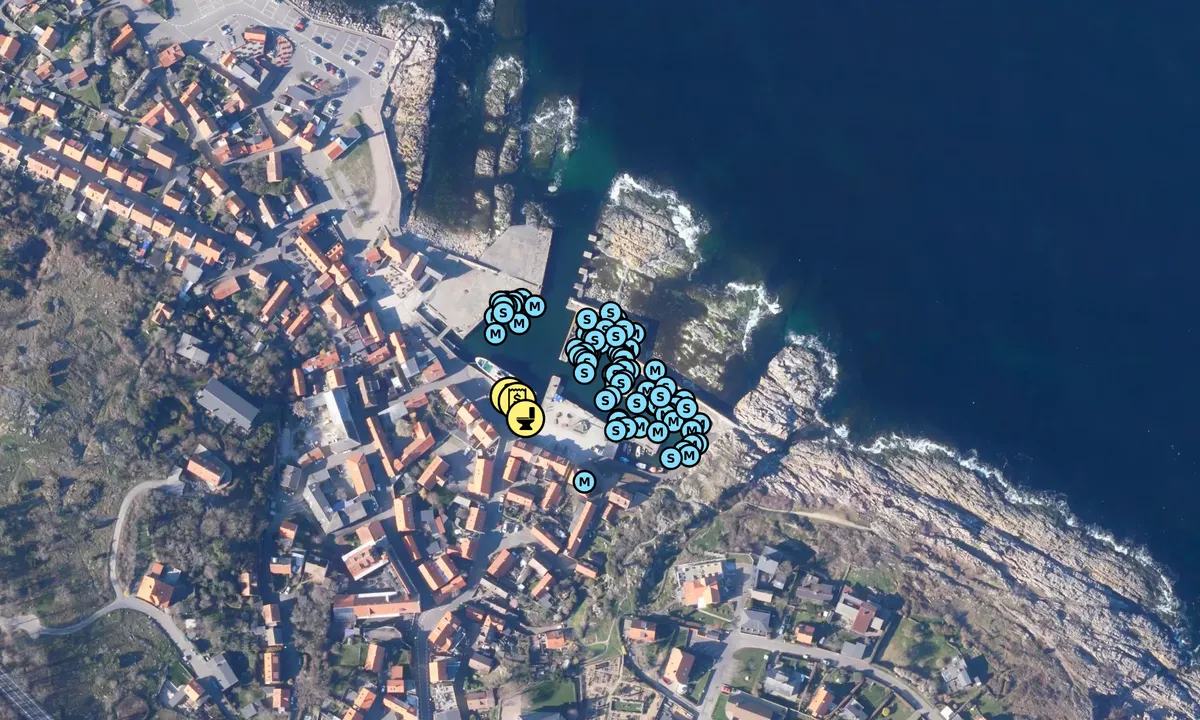 Satelite image of Gudhjem Havn