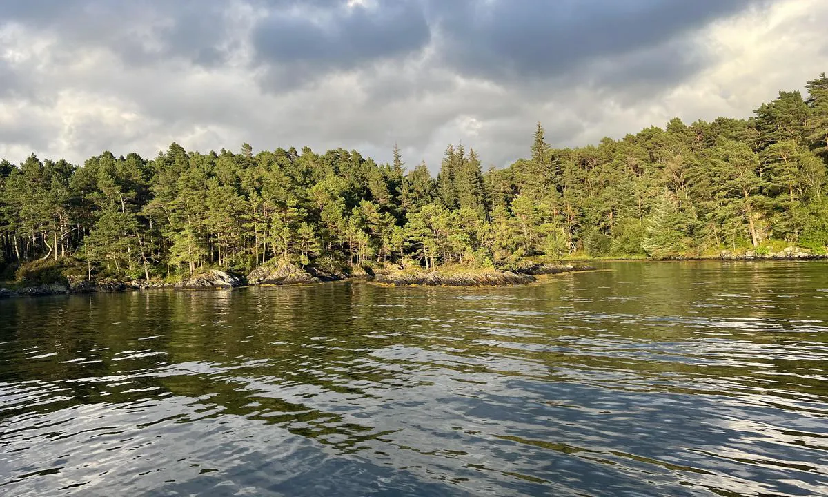 Gunnarsvika