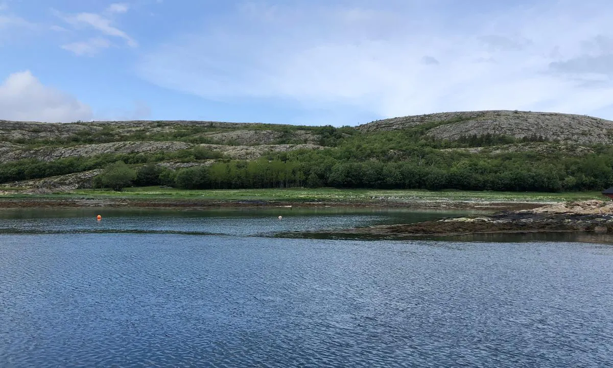 På nordsiden av Gutvikvågen er det fine gressletter og ubebygd.