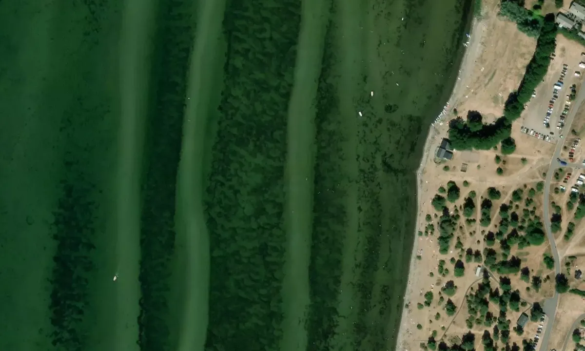 Satelite image of Haga Park