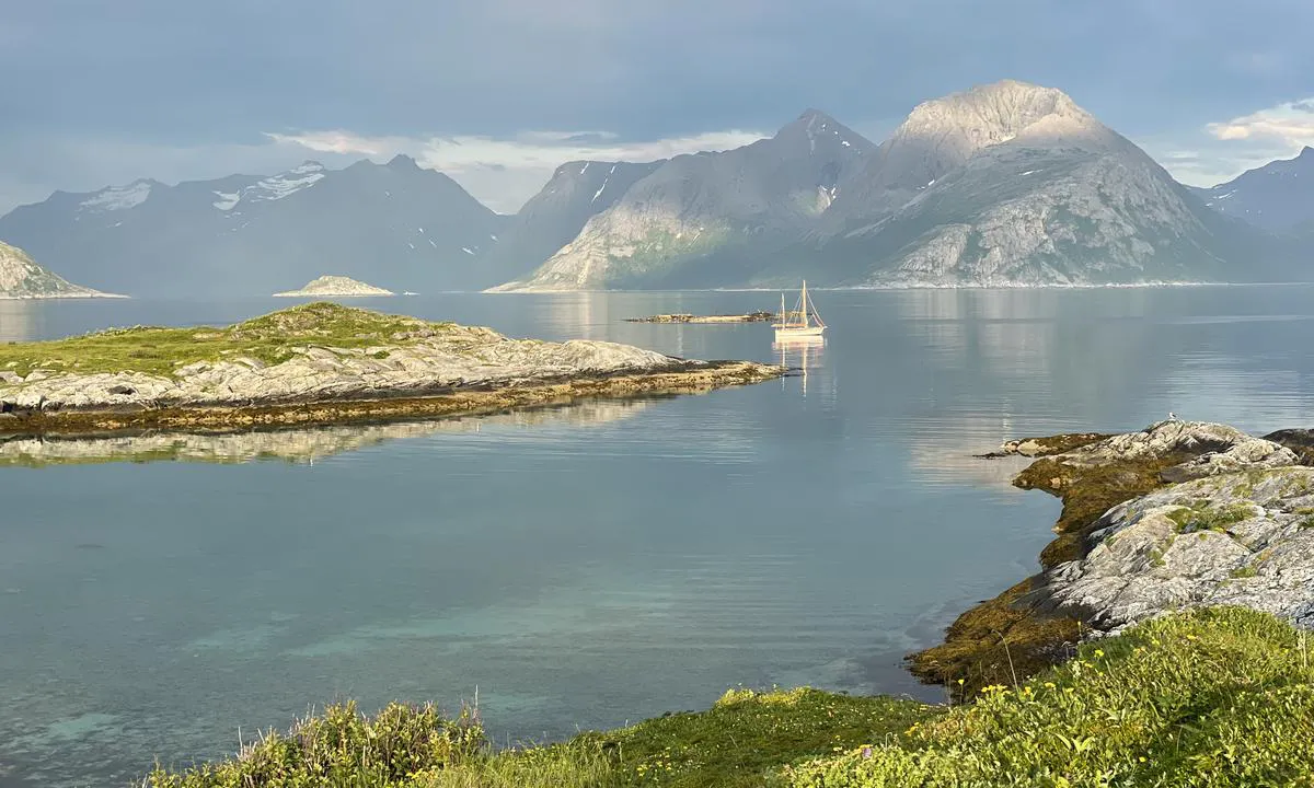 Håja Øst: {"base": "no", "no": "Fra den innerste stranda mot svaiplass", "se": "Fr\u00e5n den innersta stranden mot svajplats", "en": "From the innermost beach towards the swinging area", "da": "Fra den inderste strand mod svejleplads"}
