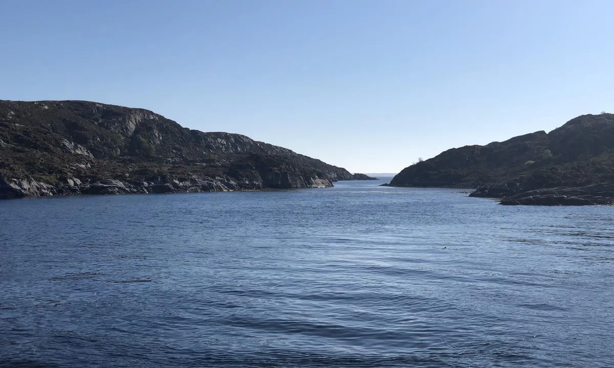 Hallarøya: {"base": "no", "no": "Her ser vi rett inn i bukta mellom Hallar\u00f8ya og Rams\u00f8ya. Innerst i bukta er det sv\u00e6rt grunnt.", "se": "H\u00e4r ser vi rakt in i viken mellan Hallar\u00f8ya och Rams\u00f8ya. L\u00e4ngst in i viken \u00e4r det mycket grunt.", "en": "Here we look straight into the bay between Hallar\u00f8ya and Rams\u00f8ya. At the innermost part of the bay, it is very shallow.", "da": "Her ser vi direkte ind i bugten mellem Hallar\u00f8ya og Rams\u00f8ya. Inderst i bugten er der meget lavvandet."}