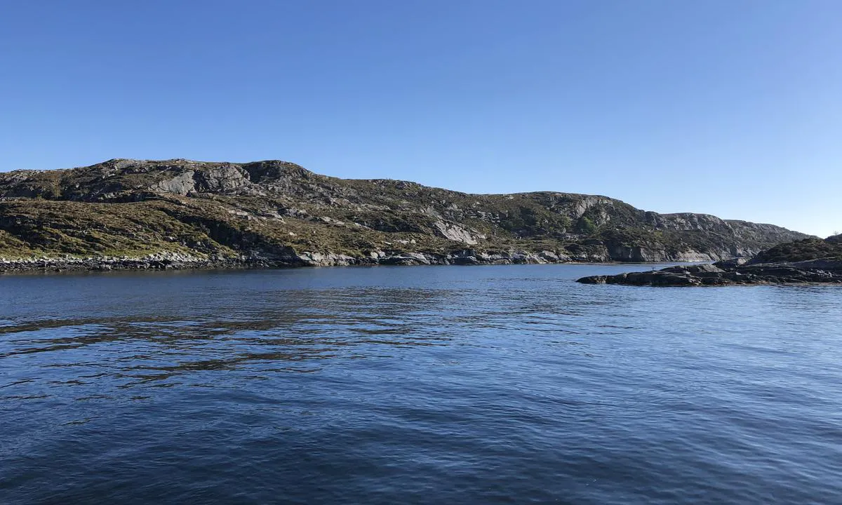 Bukta hvor du kan ankre ved Hallarøya. Bildet er tatt nordfra, og pålen du kan fortøy mot er ytterst på odden til høyre i bildet.