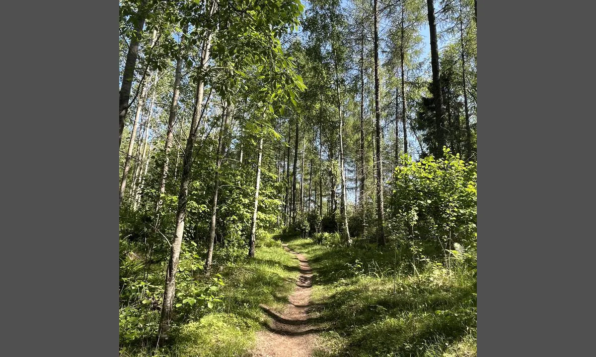 Hällekis - Hönsäter: {"base": "no", "no": "Kinnekulle er ca 5-6 km unna. Flott tur! Mange stier \u00e5 velge mellom, kun et par km p\u00e5 asfalt.", "se": "Kinnekulle \u00e4r ca 5-6 km bort. Fin tur! M\u00e5nga stigar att v\u00e4lja mellan, endast ett par km p\u00e5 asfalt.", "en": "Kinnekulle is about 5-6 km away. Great trip! Many trails to choose from, only a couple of kilometers on asphalt.", "da": "Kinnekulle er ca. 5-6 km v\u00e6k. Flot tur! Mange stier at v\u00e6lge imellem, kun et par km p\u00e5 asfalt."}