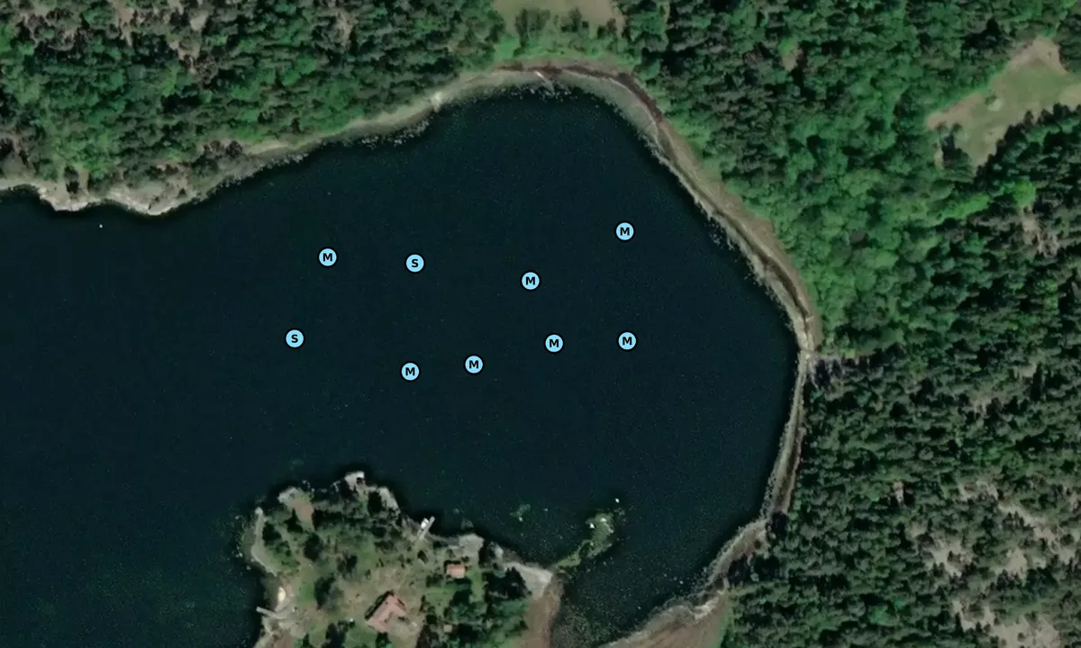 Satelite image of Hallonskäret