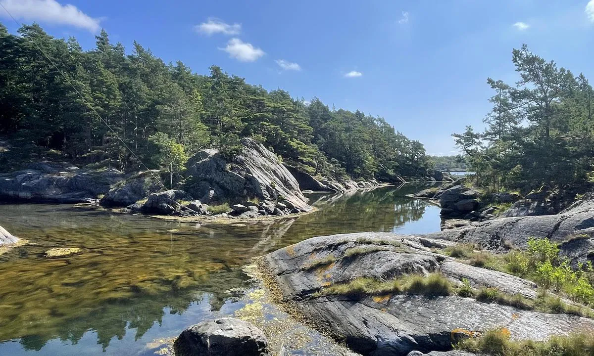 Hällsholmen: {"base": "no", "no": "Litt str\u00f8m rundt \u00f8ya.Padlemuligheter.", "se": "Lite str\u00f6m runt \u00f6n. Paddlingsm\u00f6jligheter.", "en": "A little current around the island. Paddling opportunities.", "da": "Lidt str\u00f8m omkring \u00f8en. Padlemuligheder.", "fr": "Un peu de courant autour de l'\u00eele. Possibilit\u00e9s de pagayage.", "de": "Ein wenig Str\u00f6mung rund um die Insel. Paddelm\u00f6glichkeiten.", "es": "Un poco de corriente alrededor de la isla. Posibilidades de remar.", "it": "Un po' di corrente intorno all'isola. Opportunit\u00e0 per remare.", "pt": "Alguma corrente ao redor da ilha. Possibilidades de remo.", "nl": "Weinig stroming rondom het eiland. Kanomogelijkheden.", "pl": "Lekki pr\u0105d wok\u00f3\u0142 wyspy. Mo\u017cliwo\u015bci wios\u0142owania.", "uk": "\u041d\u0435\u0432\u0435\u043b\u0438\u043a\u0430 \u0442\u0435\u0447\u0456\u044f \u043d\u0430\u0432\u043a\u043e\u043b\u043e \u043e\u0441\u0442\u0440\u043e\u0432\u0430. \u041c\u043e\u0436\u043b\u0438\u0432\u043e\u0441\u0442\u0456 \u0434\u043b\u044f \u0432\u0435\u0441\u043b\u0443\u0432\u0430\u043d\u043d\u044f.", "ro": "Putin curent \u00een jurul insulei. Posibilit\u0103\u021bi de v\u00e2slit.", "tr": "Aday\u0131 \u00e7evreleyen hafif ak\u0131nt\u0131. K\u00fcrek \u00e7ekme imkanlar\u0131.", "el": "\u039b\u03af\u03b3\u03bf \u03c1\u03b5\u03cd\u03bc\u03b1 \u03b3\u03cd\u03c1\u03c9 \u03b1\u03c0\u03cc \u03c4\u03bf \u03bd\u03b7\u03c3\u03af. \u0394\u03c5\u03bd\u03b1\u03c4\u03cc\u03c4\u03b7\u03c4\u03b5\u03c2 \u03ba\u03c9\u03c0\u03b7\u03bb\u03b1\u03c3\u03af\u03b1\u03c2.", "cs": "Trochu proud kolem ostrova. Mo\u017enosti p\u00e1dlov\u00e1n\u00ed.", "hu": "Kiss\u00e9 \u00e1ramlatok a sziget k\u00f6r\u00fcl.Kajak lehet\u0151s\u00e9gek.", "fi": "Pient\u00e4 virtausta saaren ymp\u00e4rill\u00e4. Melontamahdollisuuksia.", "bg": "\u041b\u0435\u043a\u043e \u0442\u0435\u0447\u0435\u043d\u0438\u0435 \u043e\u043a\u043e\u043b\u043e \u043e\u0441\u0442\u0440\u043e\u0432\u0430. \u0412\u044a\u0437\u043c\u043e\u0436\u043d\u043e\u0441\u0442\u0438 \u0437\u0430 \u0433\u0440\u0435\u0431\u0430\u043d\u0435.", "sr": "Blaga struja oko ostrva. Mogu\u0107nosti za veslanje.", "et": "Natuke hoovust \u00fcmber saare.Aerutamise v\u00f5imalused.", "lv": "Nedaudz straumes ap salu. Air\u0113\u0161anas iesp\u0113jas.", "lt": "<p>\u0160iek tiek srov\u0117s aplink sal\u0105. Galimyb\u0117s plaukti su irklin\u0117mis valtimis.</p>"}