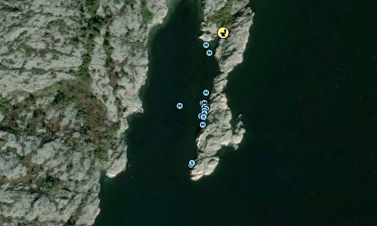 Satelite image of Hälsön