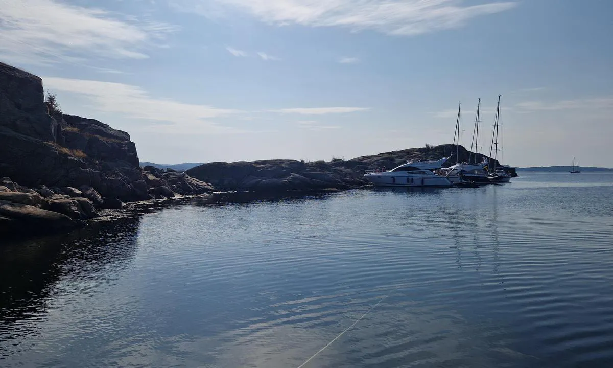 Hälsön