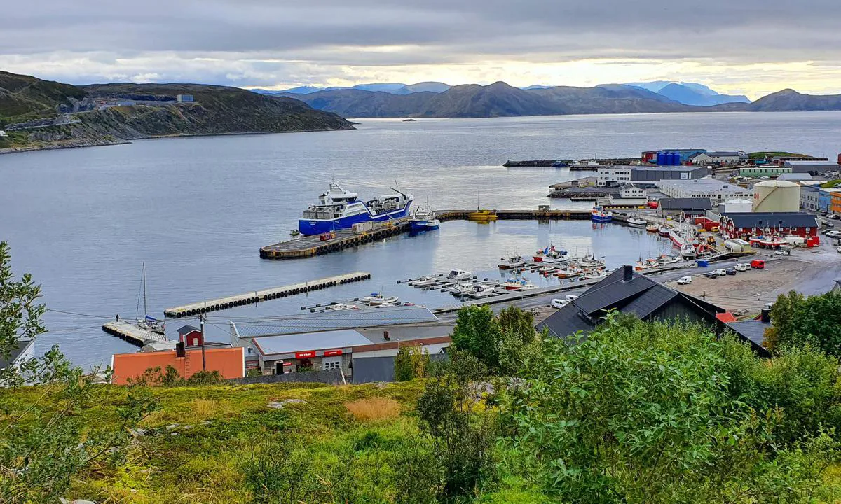 Hammerfest - Finnmark: Flytebrygge foran venstre. Du bør ringe havnevakten (91370311). Fra ham får du inngangskoden til servicehuset.