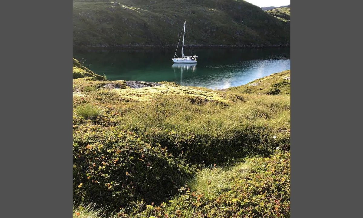 Hamnebukta - Hasvik: Ankerplassen har flotte multemyrer.