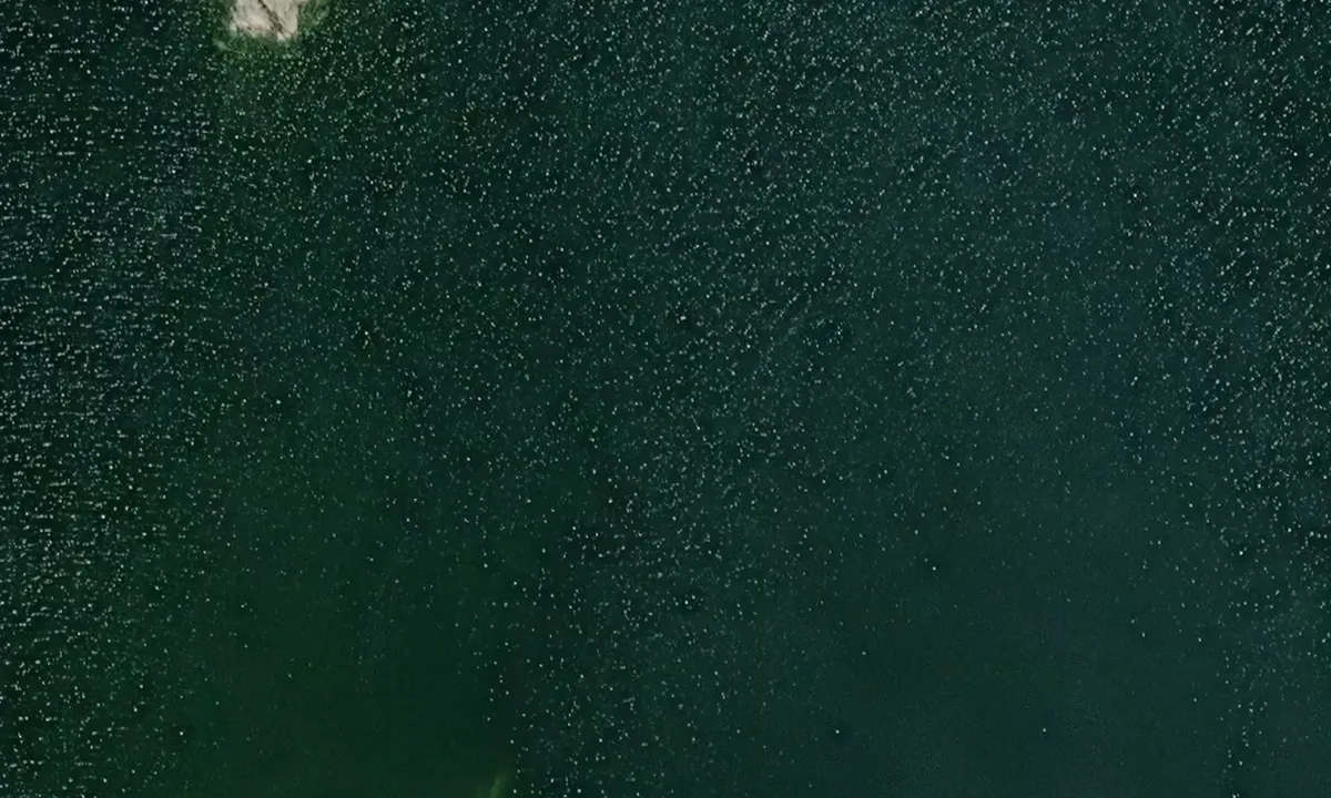 Satelite image of Hamnholmarna