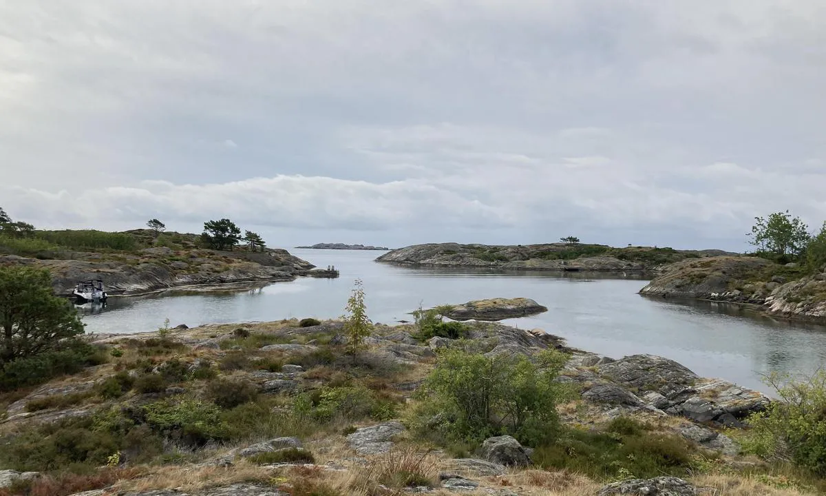 Hampholmene, Indre Maløya