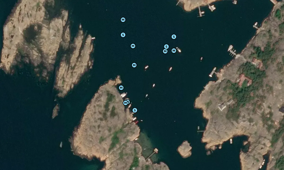 Satelite image of Hankøhavna