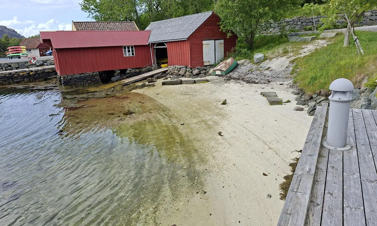 Hardbakke Hamn: {"base": "no", "no": "Lita strand i gjestehamna.", "se": "Liten strand i g\u00e4sthamnen.", "en": "Small beach in the guest harbor.", "da": "Lille strand i g\u00e6stehavnen.", "fr": "Petite plage dans le port de plaisance.", "de": "Kleiner Strand im G\u00e4stehafen.", "es": "Peque\u00f1a playa en el puerto de visitantes.", "it": "Piccola spiaggia nel porto per ospiti.", "pt": "Pequena praia na marina para visitantes.", "nl": "Klein strand in de jachthaven voor gasten.", "pl": "Ma\u0142a pla\u017ca w porcie dla go\u015bci.", "uk": "\u041d\u0435\u0432\u0435\u043b\u0438\u043a\u0438\u0439 \u043f\u043b\u044f\u0436 \u0443 \u0433\u043e\u0441\u0442\u044c\u043e\u0432\u0456\u0439 \u0433\u0430\u0432\u0430\u043d\u0456.", "ro": "Plaj\u0103 mic\u0103 \u00een portul pentru oaspe\u021bi.", "tr": "Misafir liman\u0131nda k\u00fc\u00e7\u00fck bir plaj.", "el": "\u039c\u03b9\u03ba\u03c1\u03ae \u03c0\u03b1\u03c1\u03b1\u03bb\u03af\u03b1 \u03c3\u03c4\u03bf \u03bb\u03b9\u03bc\u03ac\u03bd\u03b9 \u03b5\u03c0\u03b9\u03c3\u03ba\u03b5\u03c0\u03c4\u03ce\u03bd.", "cs": "P\u00edse\u010dn\u00e1 pl\u00e1\u017e v p\u0159\u00edstavu pro hosty.", "hu": "Kis strand a vend\u00e9gkik\u00f6t\u0151ben.", "fi": "Pieni ranta vierasvenesatamassa.", "bg": "\u041c\u0430\u043b\u044a\u043a \u043f\u043b\u0430\u0436 \u0432 \u0433\u043e\u0441\u0442\u0443\u0432\u0430\u0449\u043e\u0442\u043e \u043f\u0440\u0438\u0441\u0442\u0430\u043d\u0438\u0449\u0435.", "sr": "Mala pla\u017ea u gostuju\u0107oj luci.", "et": "Kogujahe rand k\u00fclalissadamas.", "lv": "Smil\u0161aina pludmale viesu ost\u0101.", "lt": "Siauras papl\u016bdimys sve\u010di\u0173 uoste."}